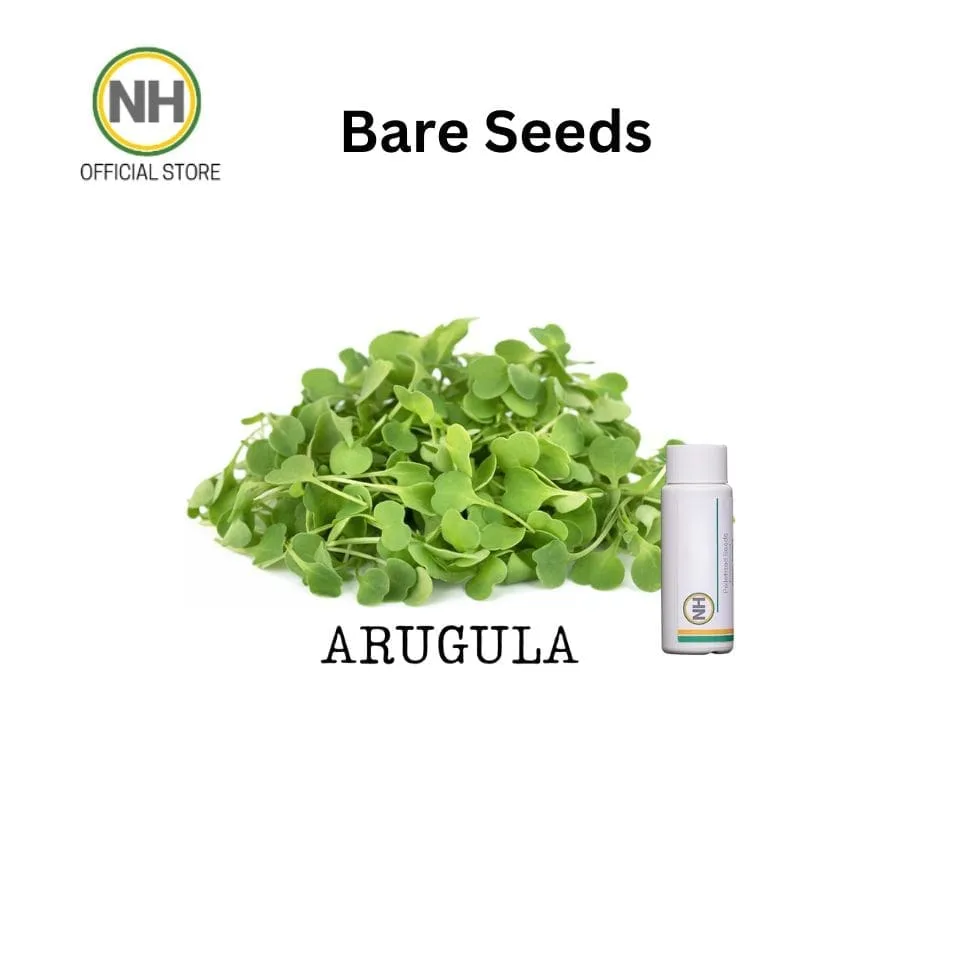 Arugula from NutriHydro