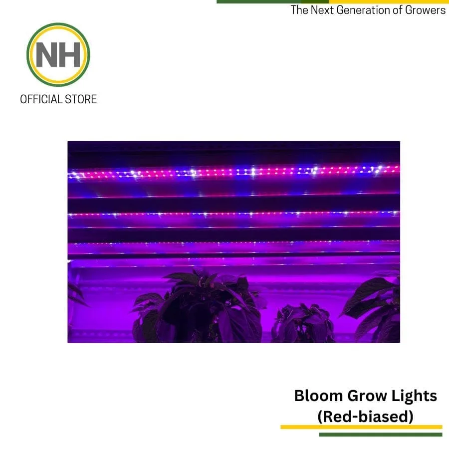 Bloom Grow Light from NutriHydro