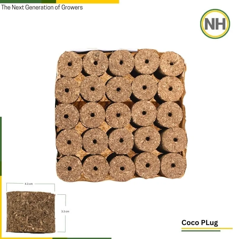 Coco Plugs from NutriHydro
