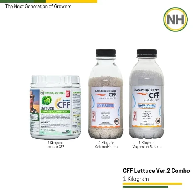 Lettuce CFF - Combo from NutriHydro