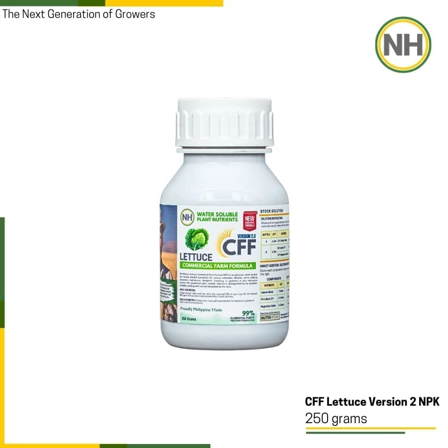 Lettuce CFF from NutriHydro