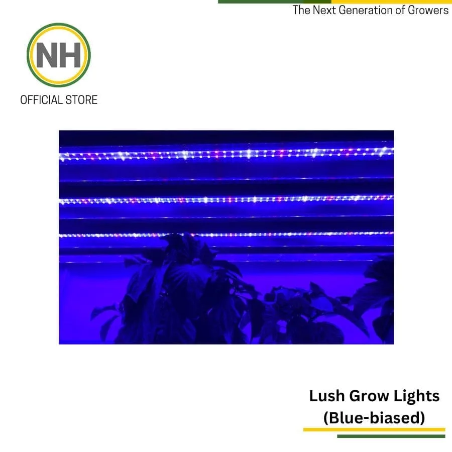Lush Grow Light from NutriHydro
