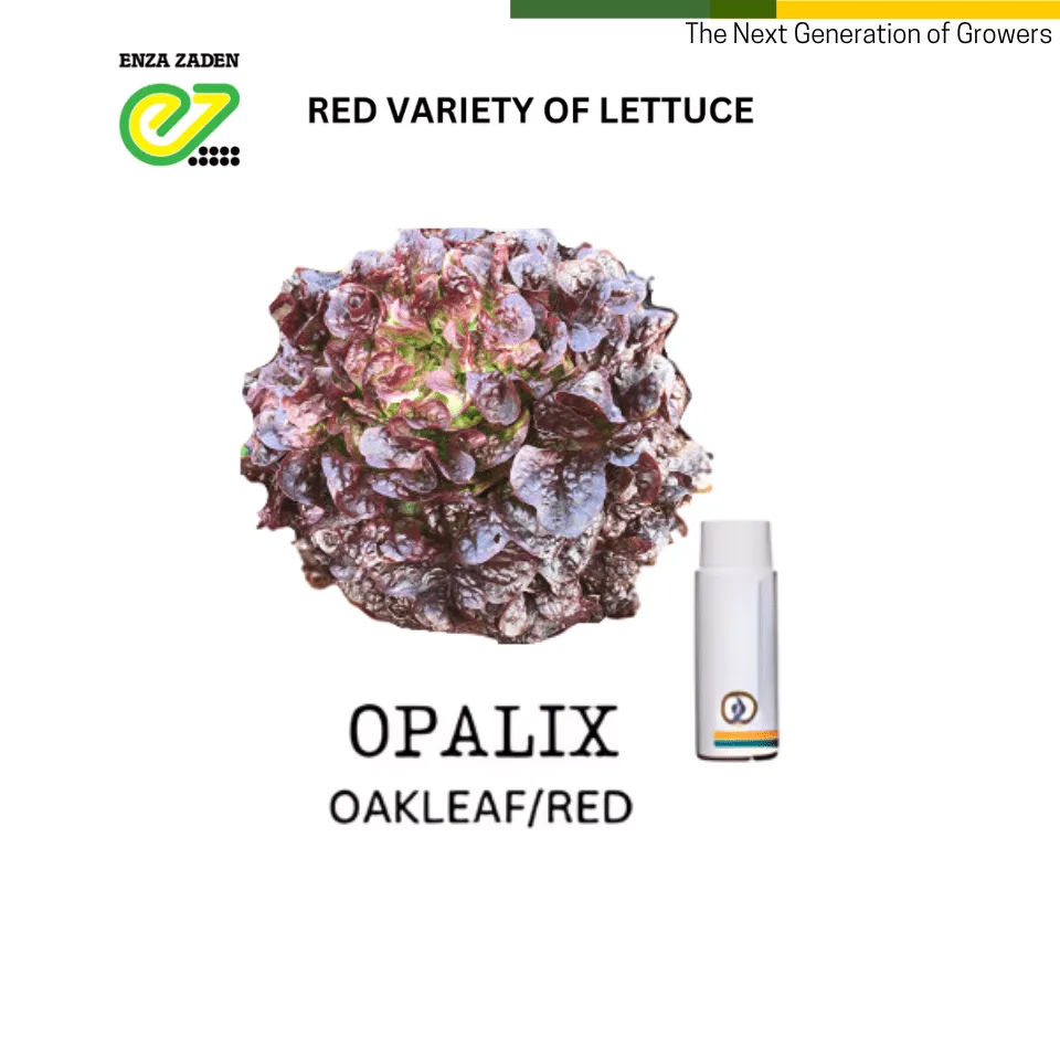 Opalix from NutriHydro